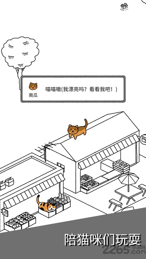 猫咪真的很可爱手机版截图1