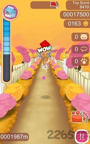 可爱宠物狗狗手机版截图2