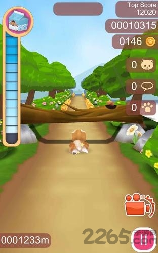 可爱宠物狗狗手机版截图4