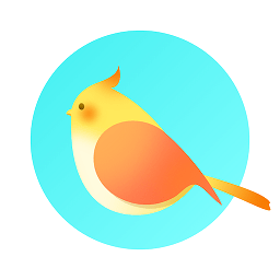 pocket绘画大师软件