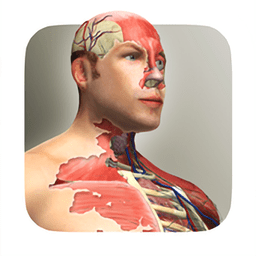 空闲人类游戏 - 安卓 休闲益智